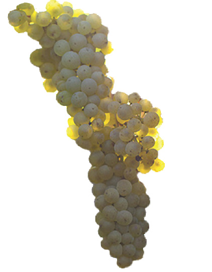 7875015546_cbaaf697ab_c.psd